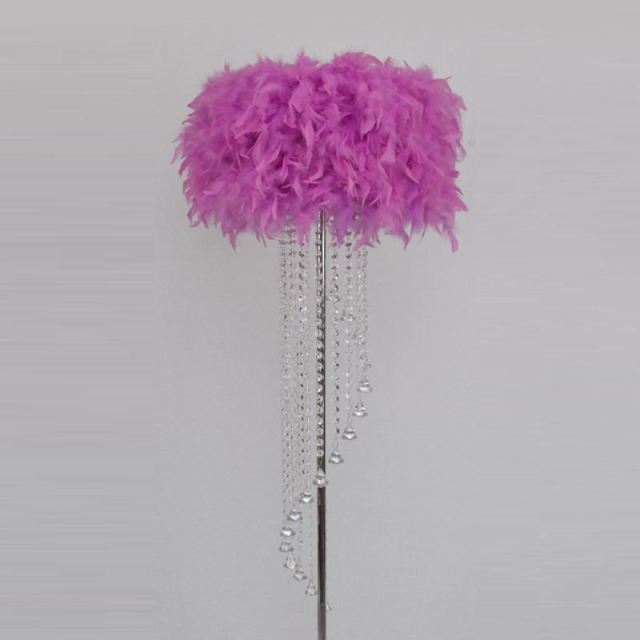 Modern Crystal Floor Lamp with Feather Shade,Chrome Finish and Plentiful Crystals for Living Room/ Bedroom/ Bedside