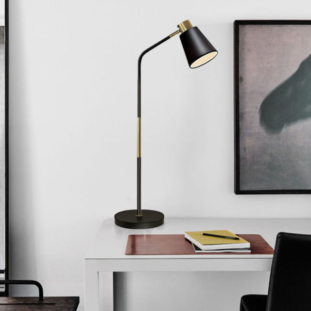 Floor Lamp, Modern Floor Lamps for Living Rooms Bedrooms - Simple Reading Lamp, Adjustable Metal Heads Indoor Standing Lighting