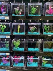 Aquarium Gravel