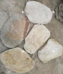 Yellow Wood Stepping Stone