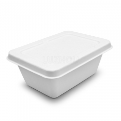 1000ml 7"x5"xH2.8" 21g Wide Rim Bagasse Compostable Disposable Carry Out Food Box with Lid