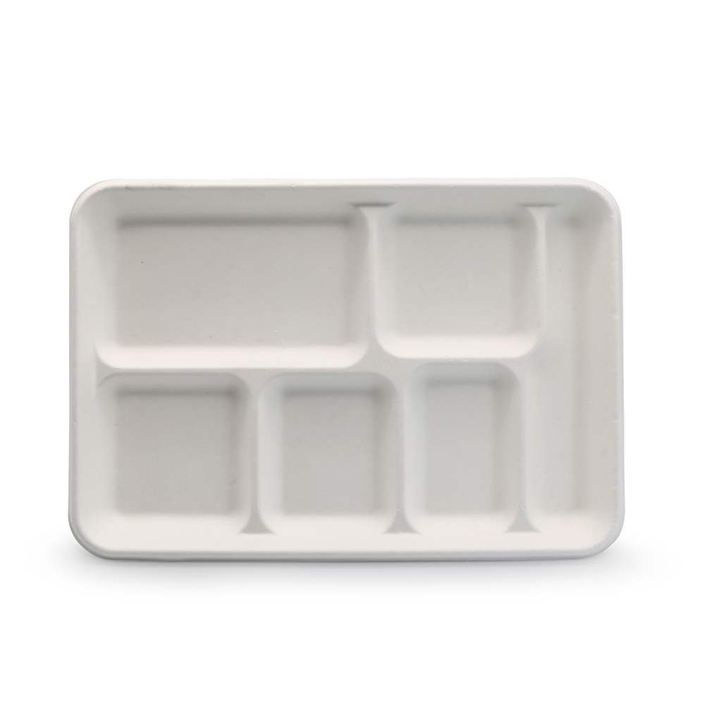 6-Comp 12.5"x8.6"xH1" 38g Bagasse Compostable Food Container Tray with Cover