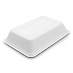 500ml 7"x5"xH1.5" 15g Wide Rim Bagasse Compostable Eco Friendly Go To Food Packing Box with Lid