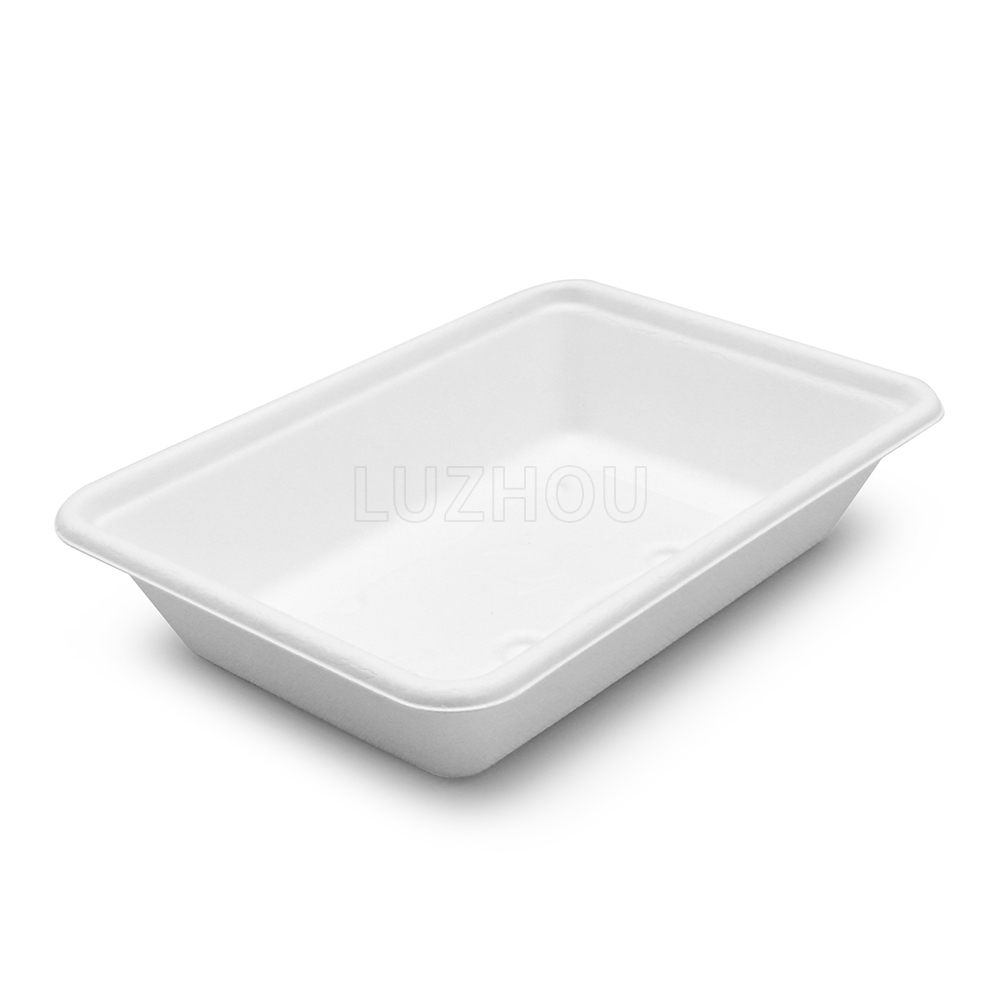 500ml 7"x5"xH1.5" 15g Wide Rim Bagasse Compostable Eco Friendly Go To Food Packing Box with Lid