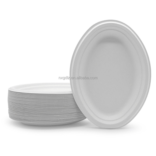 Elsjoy 90 Pack Compostable Oval Paper Plates, 12.5 Inch Sugarcane Dinner  Plates, Large Disposable Plates Biodegradable Platters, for Restaurant,  BBQ