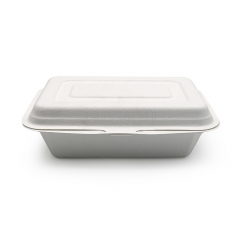 450ml 6.81x4.88xH2.09" (Fold) 15g Bagasse Compostable Eco Friendly Small To Go Food Box