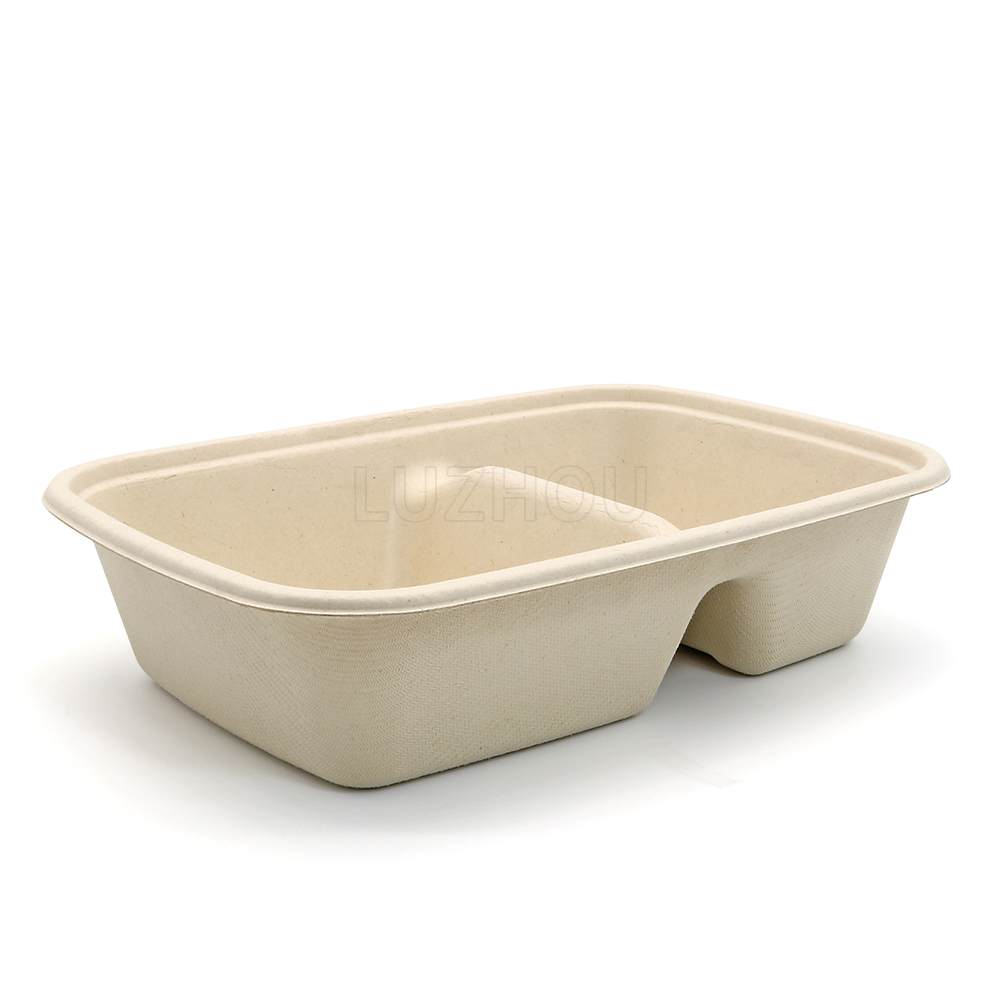790ml 8.5"x6"xH1.8" 20g 2 Compartment Bagasse Compostable Carry Out Food Packaging Container with Lid