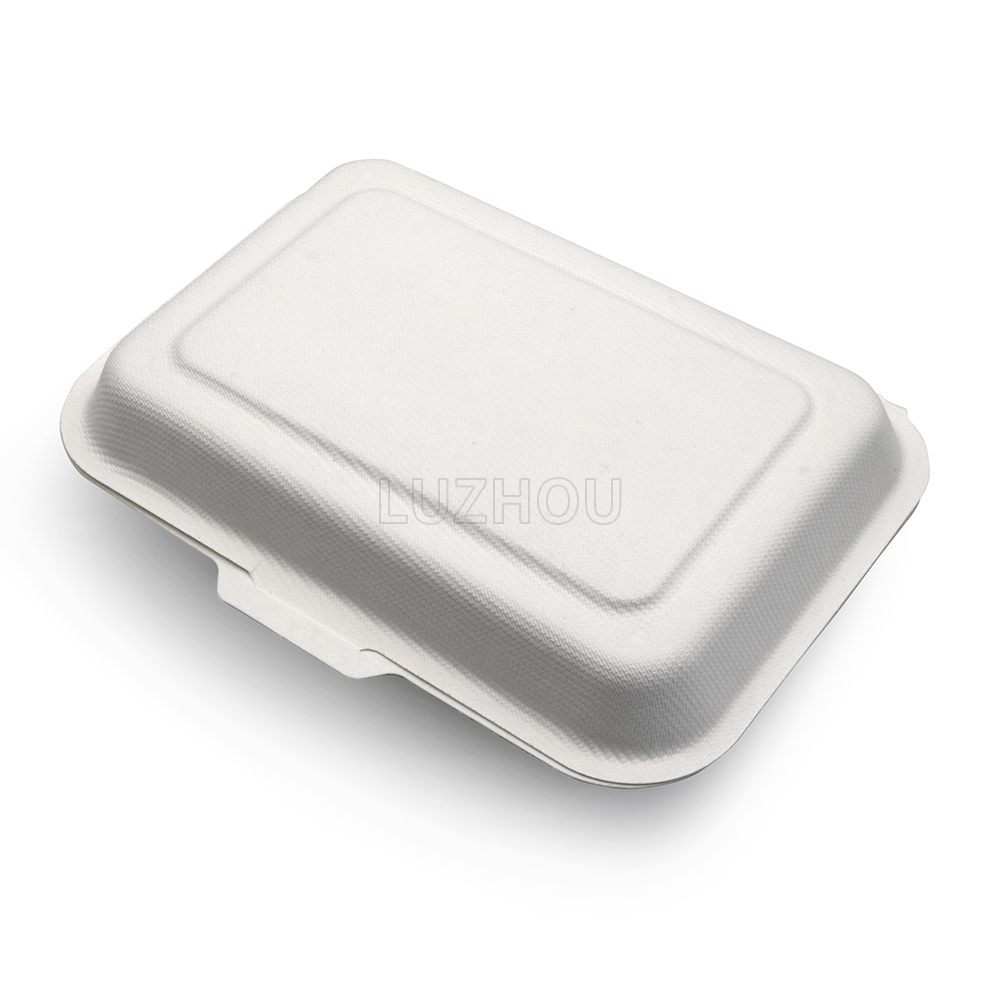 600ml 7.17"x5.35"xH2.68" (Fold) 20g Bagasse Compostable Takeaway Small Disposable Food Box