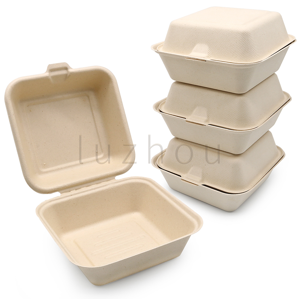 Biodegradable Disposable Burger Boxes Clamshell 