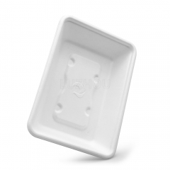 500ml 7"x5"xH1.5" 15g Wide Rim Bagasse Compostable Eco Friendly Go To Food Packing Box with Lid