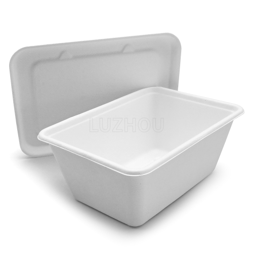 1000ml 7"x5"xH2.8" 21g Wide Rim Bagasse Compostable Disposable Carry Out Food Box with Lid