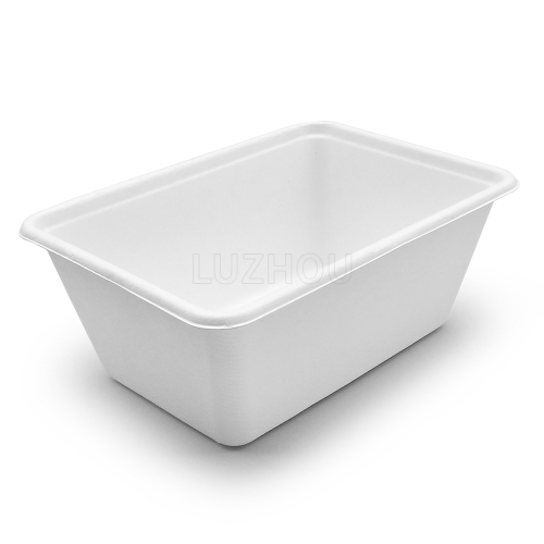 1000ml 7"x5"xH2.8" 21g Wide Rim Bagasse Compostable Disposable Carry Out Food Box with Lid