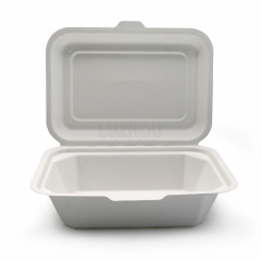 600ml 7.17"x5.35"xH2.68" (Fold) 20g Bagasse Compostable Takeaway Small Disposable Food Box