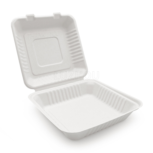 Compostable Hinged Clamshell 9x9 Food Take Out Box, Disposable