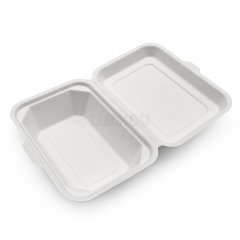 600ml 7.17"x5.35"xH2.68" (Fold) 20g Bagasse Compostable Takeaway Small Disposable Food Box