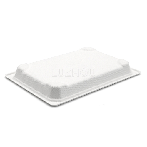 7.2"x5"x0.8" 11g Bagasse Compostable Sushi Togo Packaging Container Tray