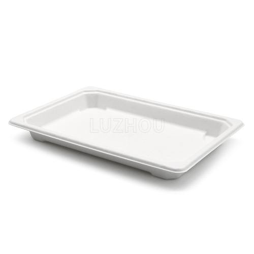 7.2"x5"x0.8" 11g Bagasse Compostable Sushi Togo Packaging Container Tray