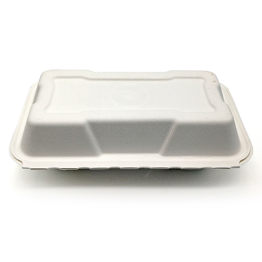 560ml 8.46x4.92xH2.76" (Fold) 22g Bagasse Compostable Container Packaging Food