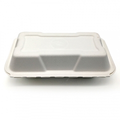 560ml 8.46x4.92xH2.76" (Fold) 22g Bagasse Compostable Container Packaging Food