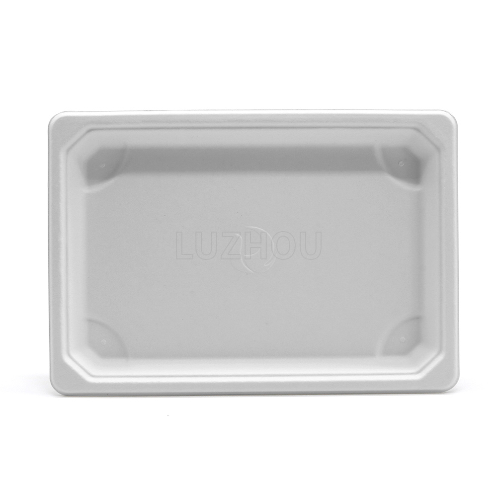 7.2"x5"x0.8" 11g Bagasse Compostable Sushi Togo Packaging Container Tray