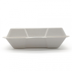 560ml 8.46x4.92xH2.76" (Fold) 22g Bagasse Compostable Container Packaging Food