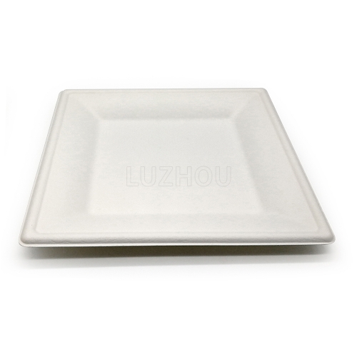 6" 12g Bagasse Compostable Square Dish for Wedding