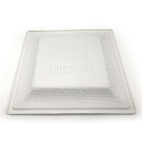 6" 12g Bagasse Compostable Square Dish for Wedding