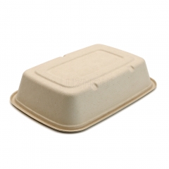 800ml 8.5"x6"xH1.8" 20g Bagasse Compostable Catering Take Away Food Containers with Lid