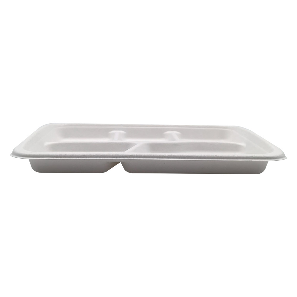 5-Comp 10"x8.3"xH1" 24g Bagasse Compostable Disposable Lunch Tray with Lid