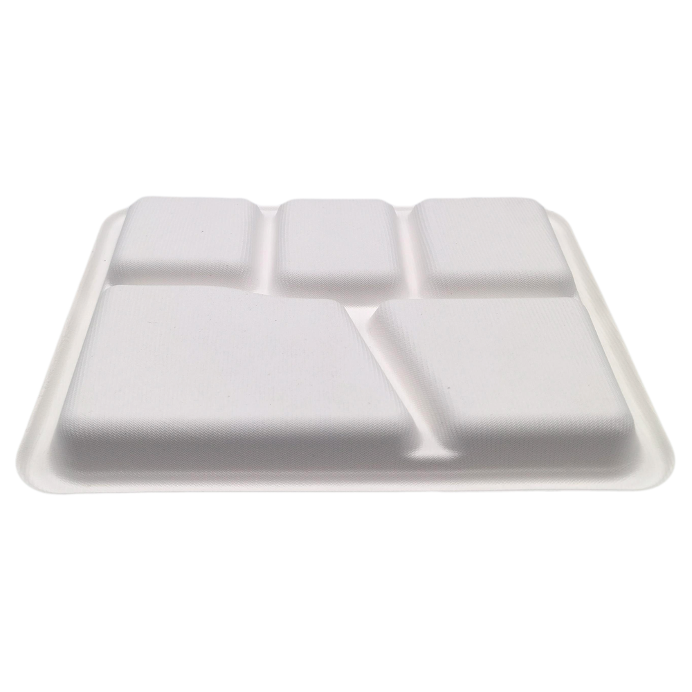 5-Comp 10"x8.3"xH1" 24g Bagasse Compostable Disposable Lunch Tray with Lid