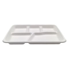 5-Comp 10"x8.3"xH1" 24g Bagasse Compostable Disposable Lunch Tray with Lid