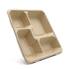 4-Comp 9.4"x8.6"xH1.6" 50g Bagasse Compostable Catering Take Away Tray with Lid