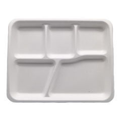 5-Comp 10"x8.3"xH1" 24g Bagasse Compostable Disposable Lunch Tray with Lid