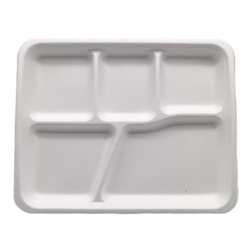 5-Comp 10"x8.3"xH1" 24g Bagasse Compostable Disposable Lunch Tray with Lid