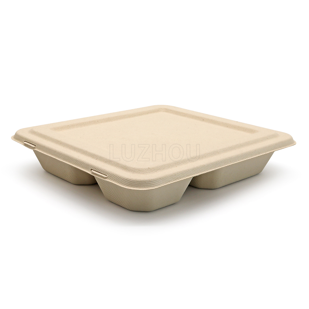 4-Comp 9.4"x8.6"xH1.6" 50g Bagasse Compostable Catering Take Away Tray with Lid