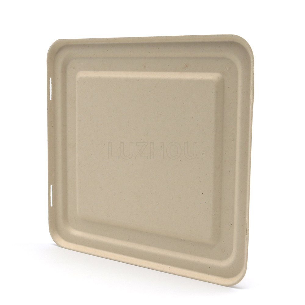 1000ml 4-Comp 9"x8.6"xH1.6" 50g Bagasse Compostable Ready Meal Packaging Tray with Cover