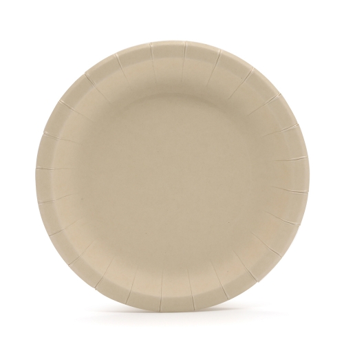 [Print on Demand] 250g Brown Cardboard Unprinted Paper Event Plate for Winnie the Pooh