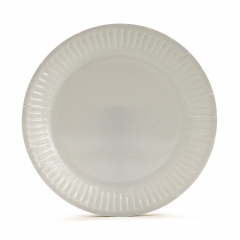 Fully Customization Multiple Sizes Cardboard Paper Plates
