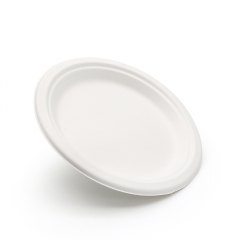 Φ8"xH0.7" 13g Bagasse Compostable Eco Friendly Party Plate