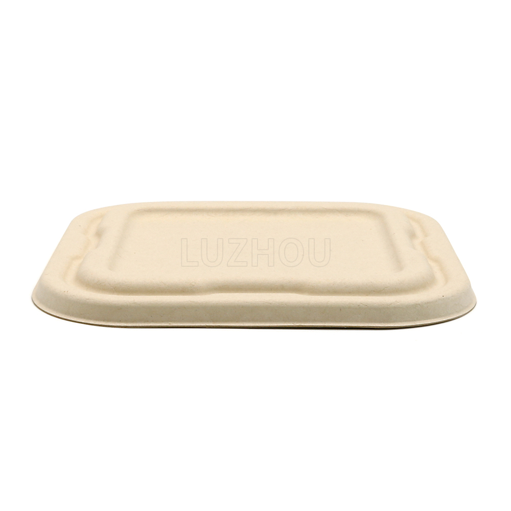 700ml 6.5"x6.5"xH2.5" 21g Squre Bagasse Compostable Disposable Takeaway Paper Bento Meal Box