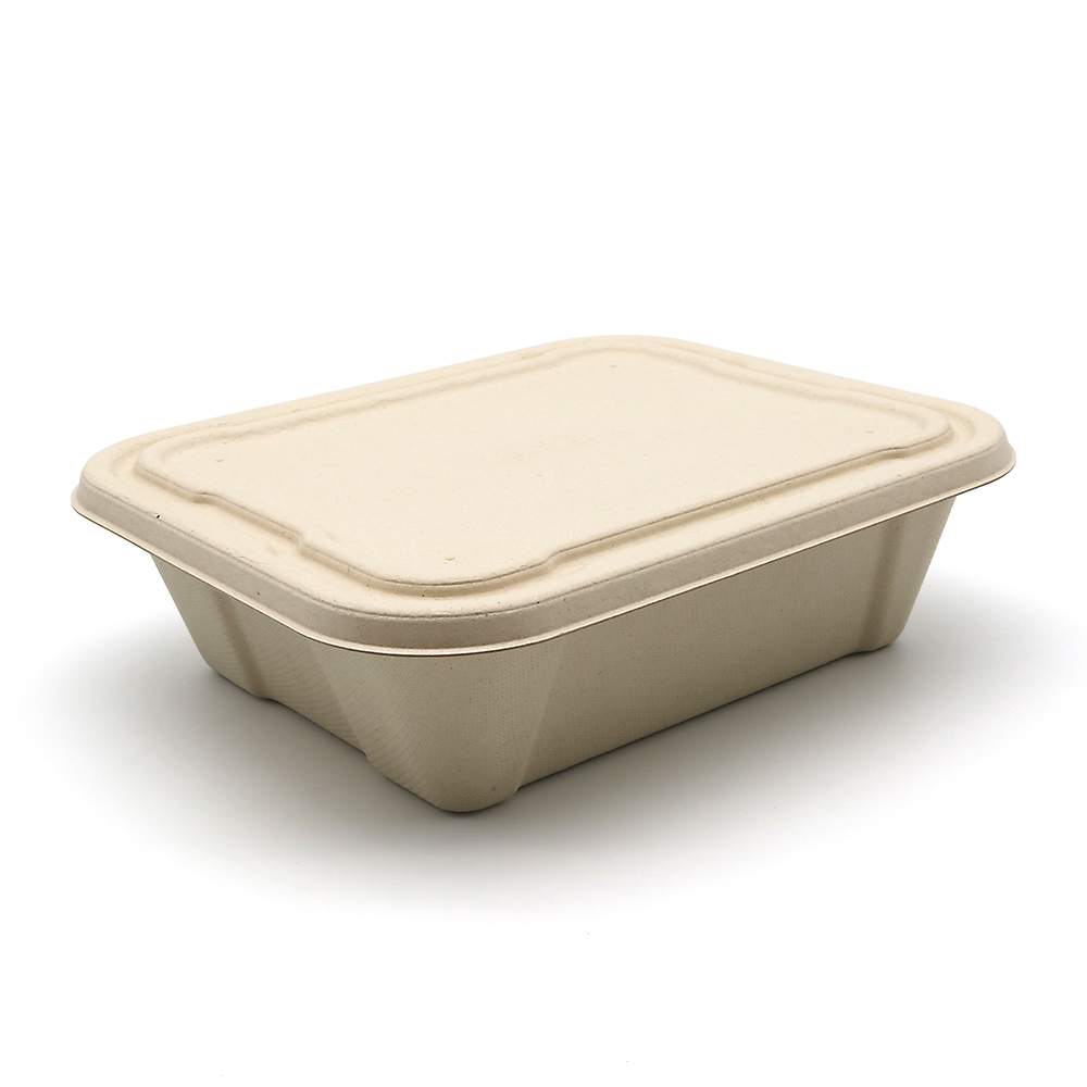 Sushi Catering Take Out Party Plastic Food Containers With Lids 1300ml