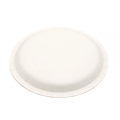 [Print on Demand] 300g White Cardboard Unprinted Paper Plate for Ninja Turtle Event