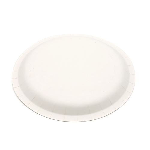 [Print on Demand] 300g White Cardboard Unprinted Paper Plate for Ninja Turtle Event