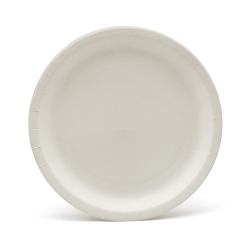 [Print on Demand] 300g White Cardboard Unprinted Paper Plate for Ninja Turtle Event