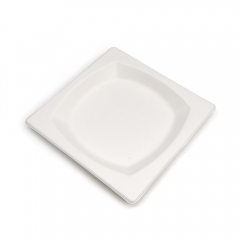 6.7" 10g Diamond Bagasse Compostable Disposable Party Dish