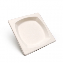 6.7" 10g Diamond Bagasse Compostable Disposable Party Dish