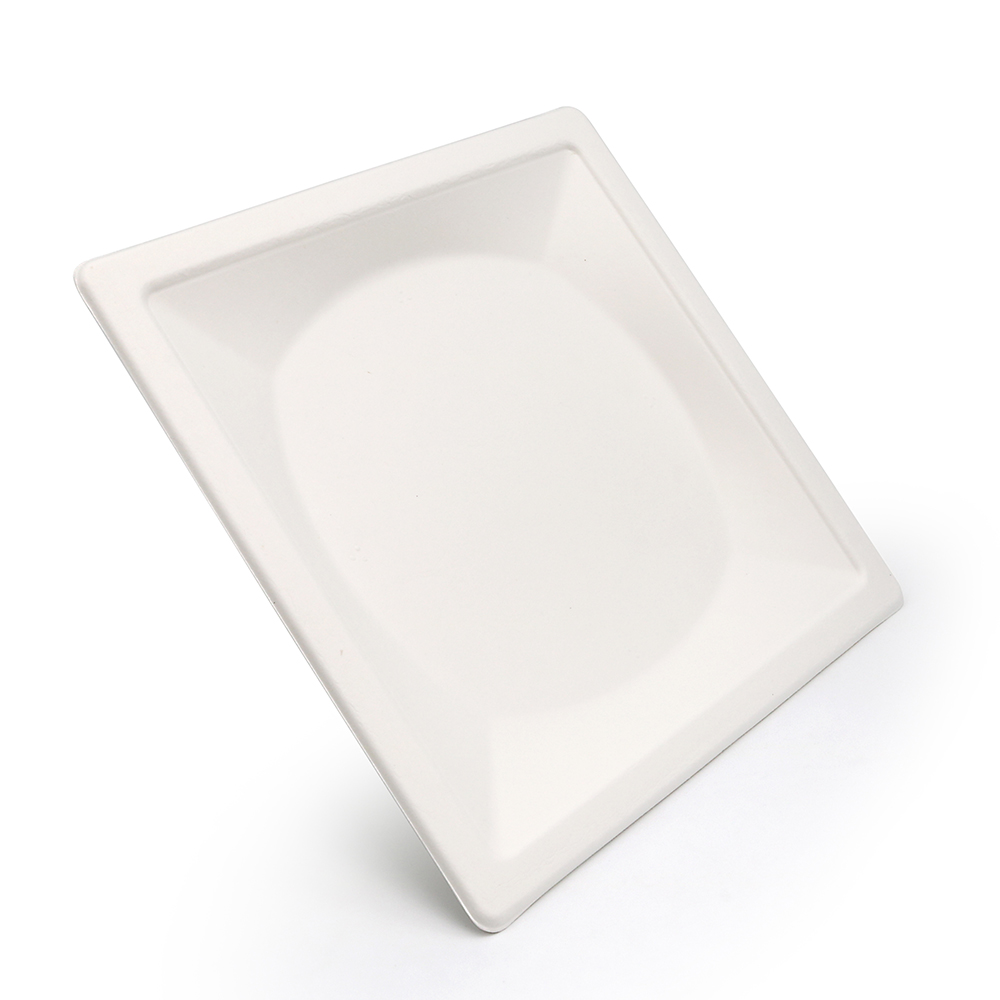 10.3" 26g Diamond Bagasse Biodegradable Compostable Disposable Plate