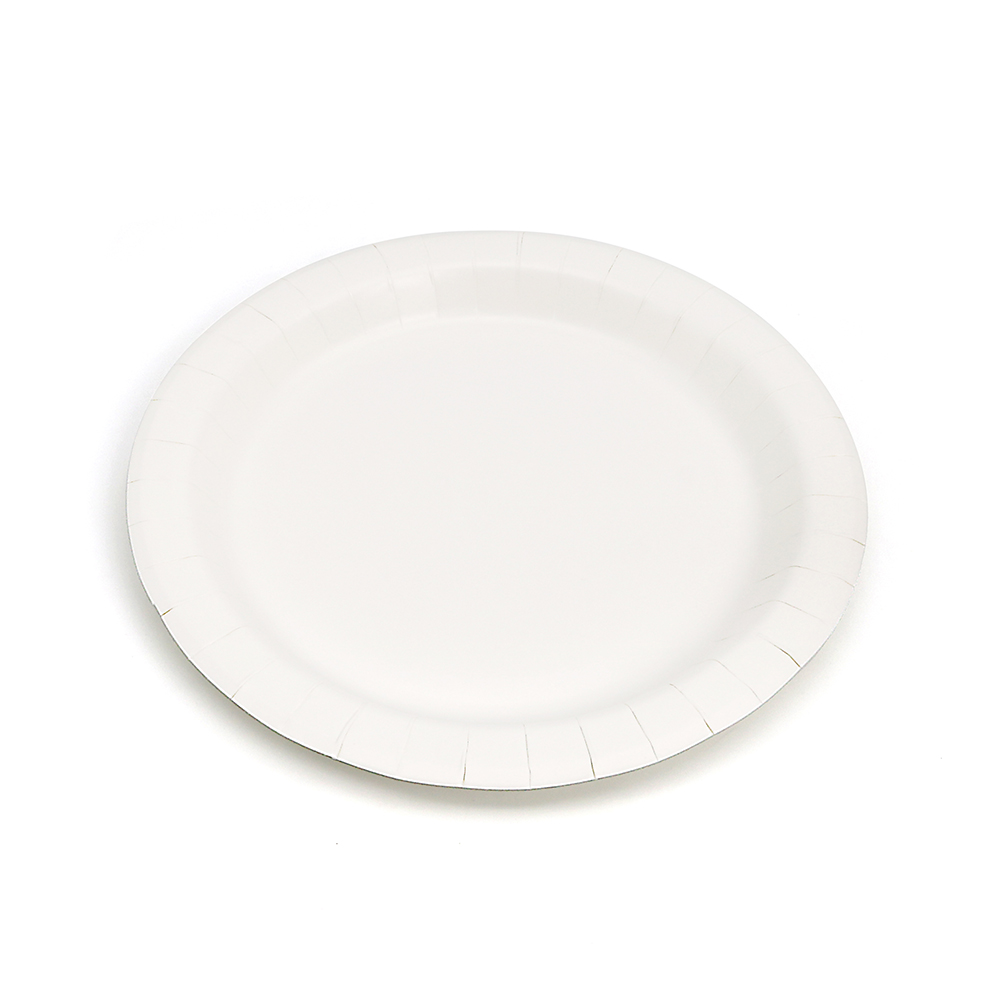 Disposable Paper Plates for Christmas Party | Luzhou Pack