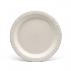 [Print on Demand] 8.8" Unprinted Coated 280g Food Grade White Cardboard Disposable Paper Plate for Xmas Party