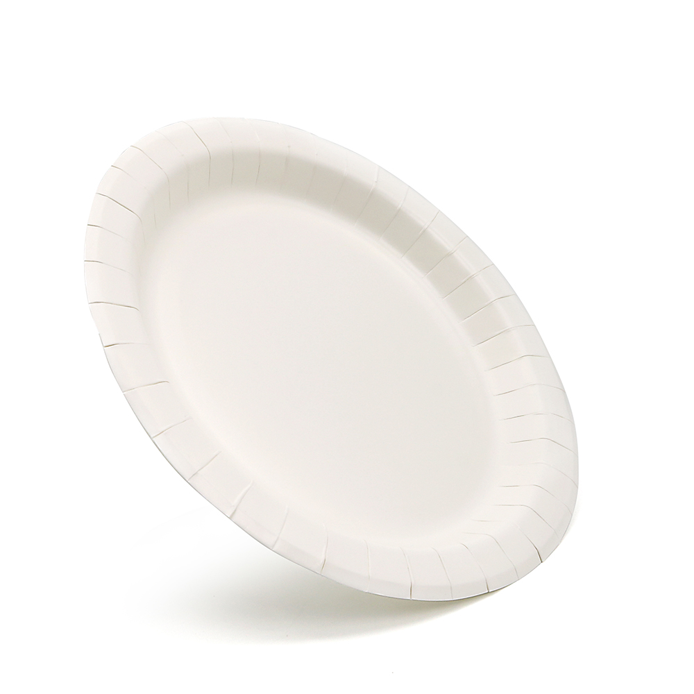 Disposable Paper Plates for Christmas Party | Luzhou Pack
